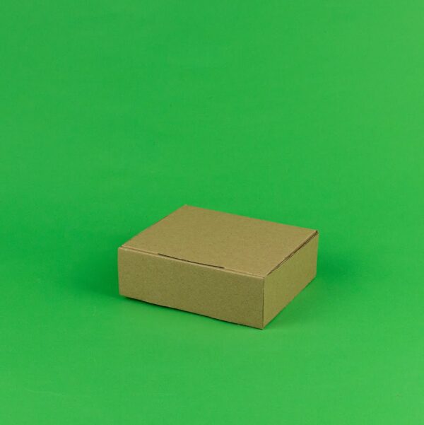 Set 100 Cutii Autoformare Naturale pentru Transport - Dimensiuni 165x110x20 mm, Ideal pentru Fast Food și Restaurante
