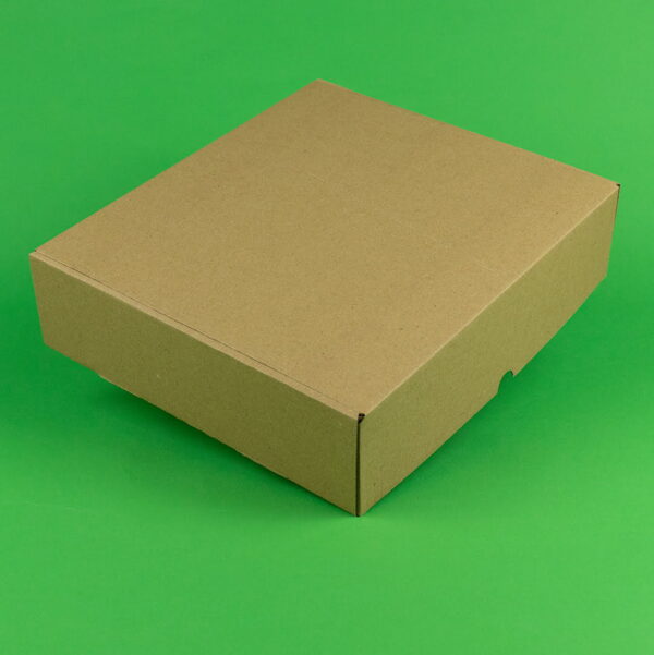 Cutii autoformare naturale pentru curierat, set 100 bucăți, dimensiuni 450x30x30 mm, ideale pentru industria alimentară și nealimentară.